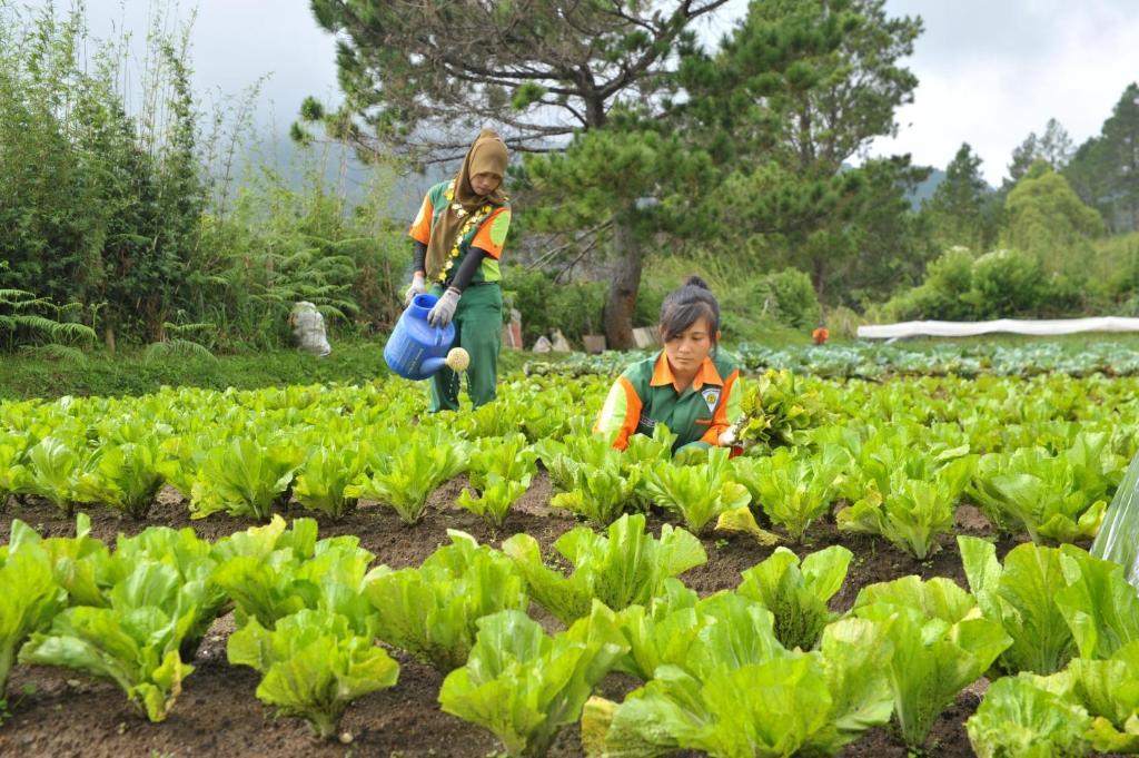 Taman Simalem Resort Tongging المظهر الخارجي الصورة