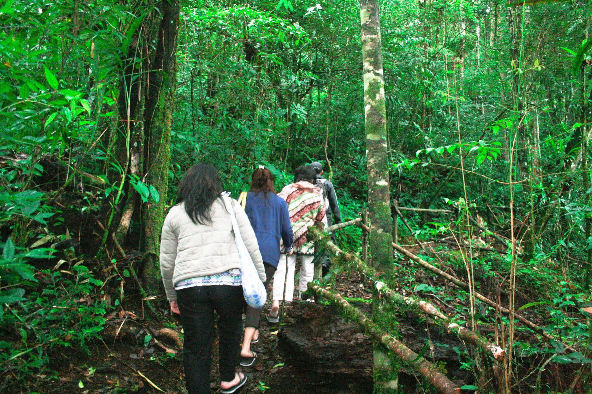 Taman Simalem Resort Tongging المظهر الخارجي الصورة